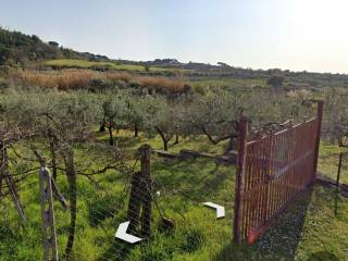 Terreno agricolo in vendita a grottaferrata strada provinciale selve vecchie preziosa v. marciana