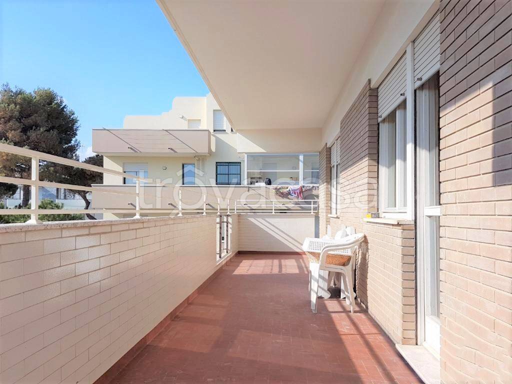 immagine annuncio 9 di 12