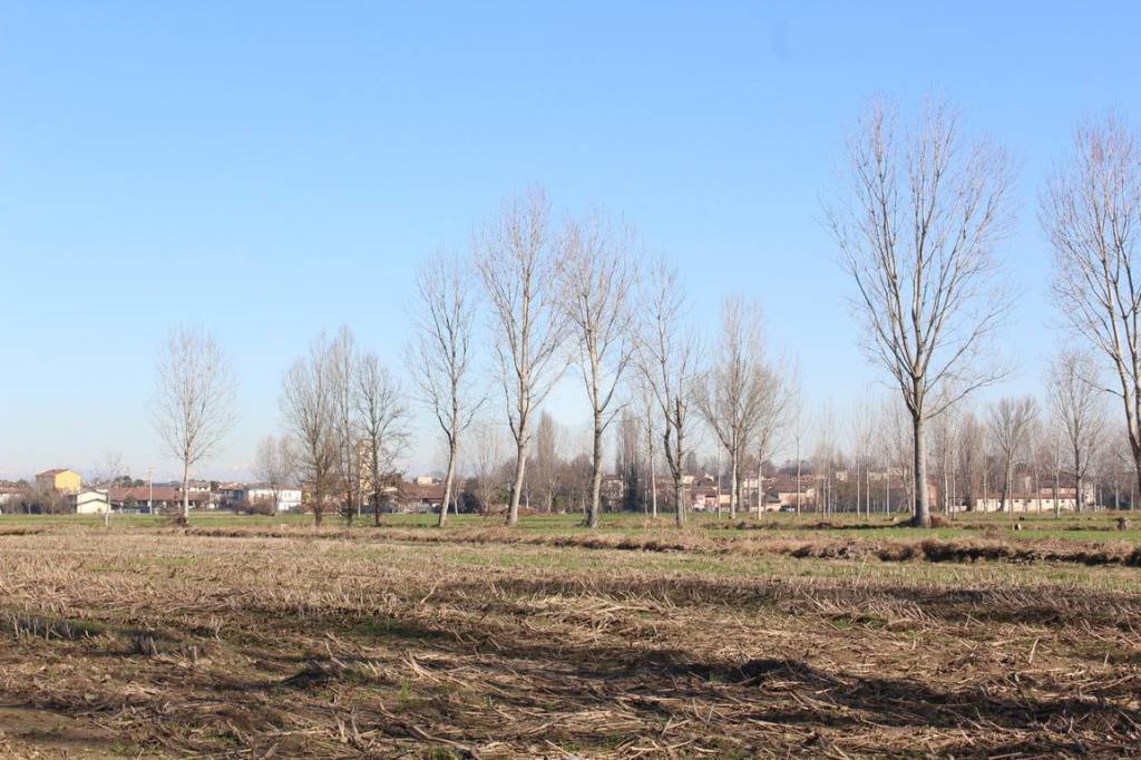 immagine annuncio 5 di 13