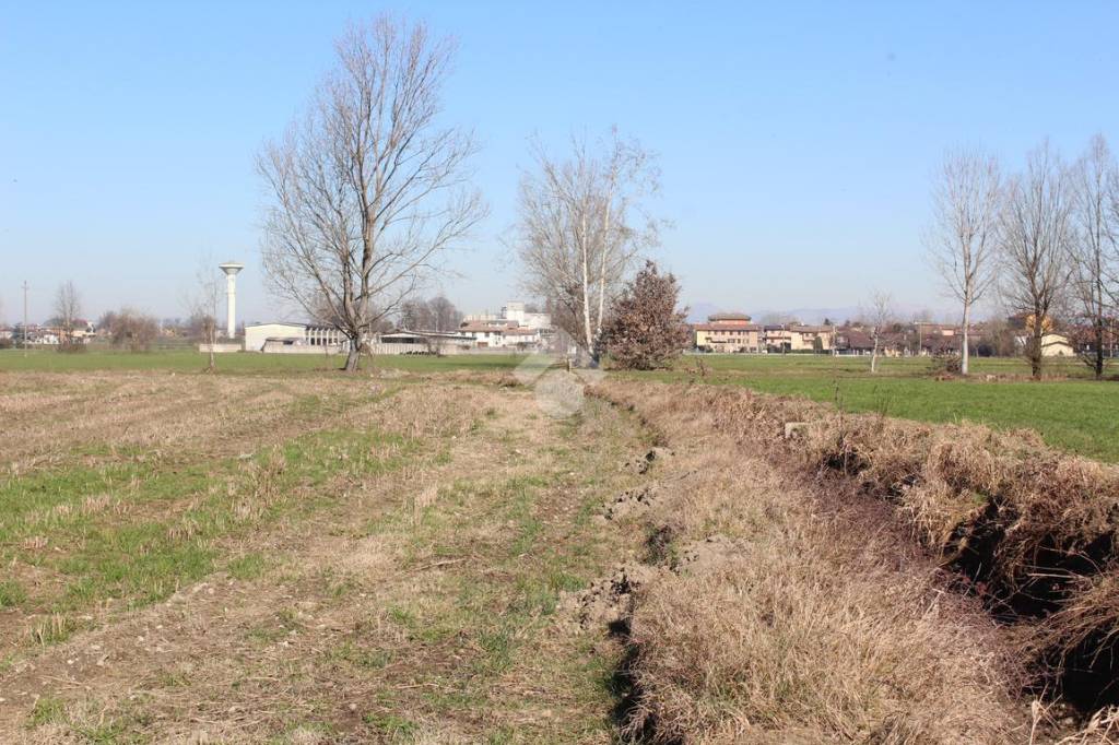 immagine annuncio 9 di 13