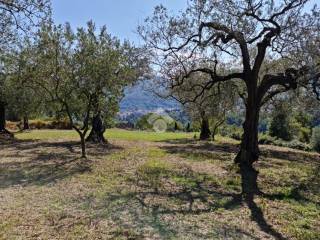 Terreno agricolo in vendita a sant'agata de' goti cda sopportico