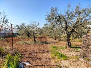 Terreno residenziale in vendita a barletta 