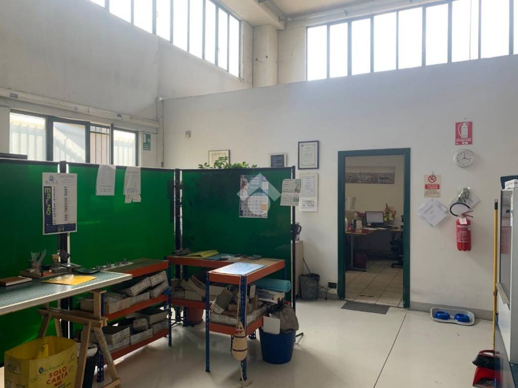 immagine annuncio 5 di 10