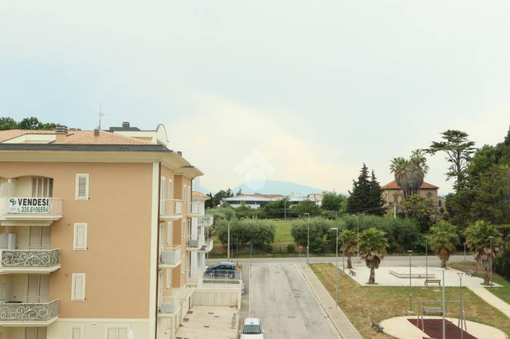 immagine annuncio 9 di 14