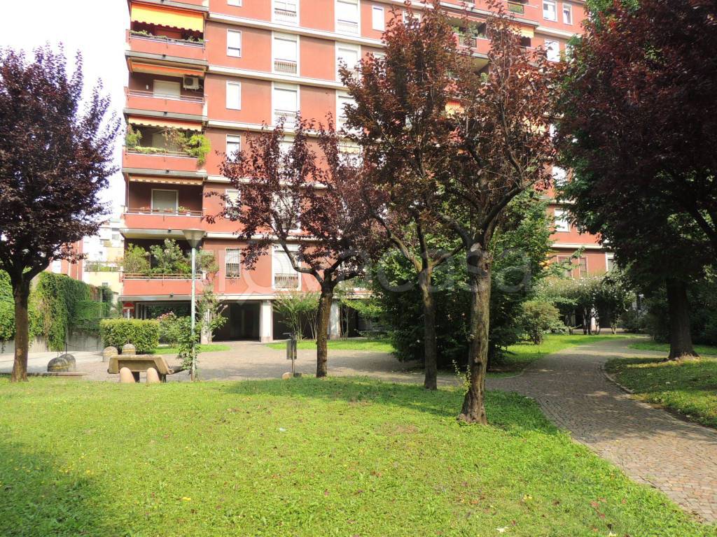 immagine annuncio 6 di 15