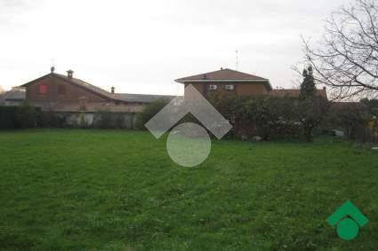 immagine annuncio 4 di 6