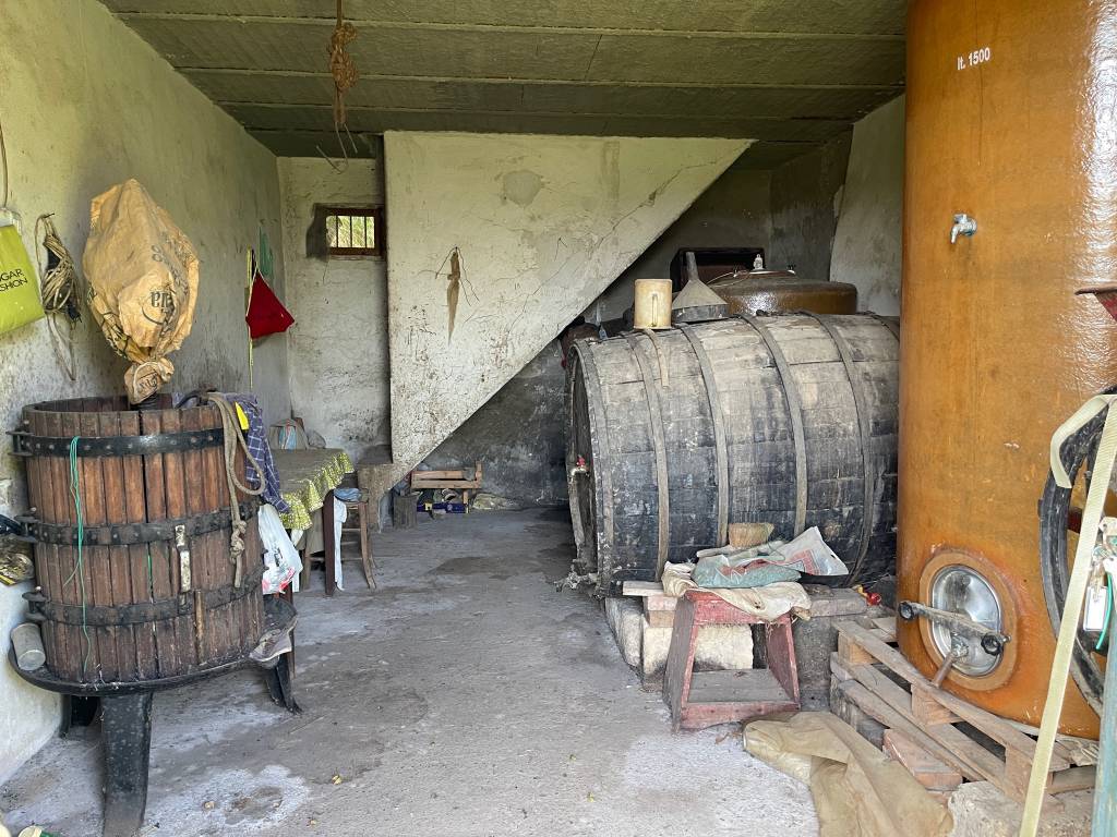 immagine annuncio 5 di 9