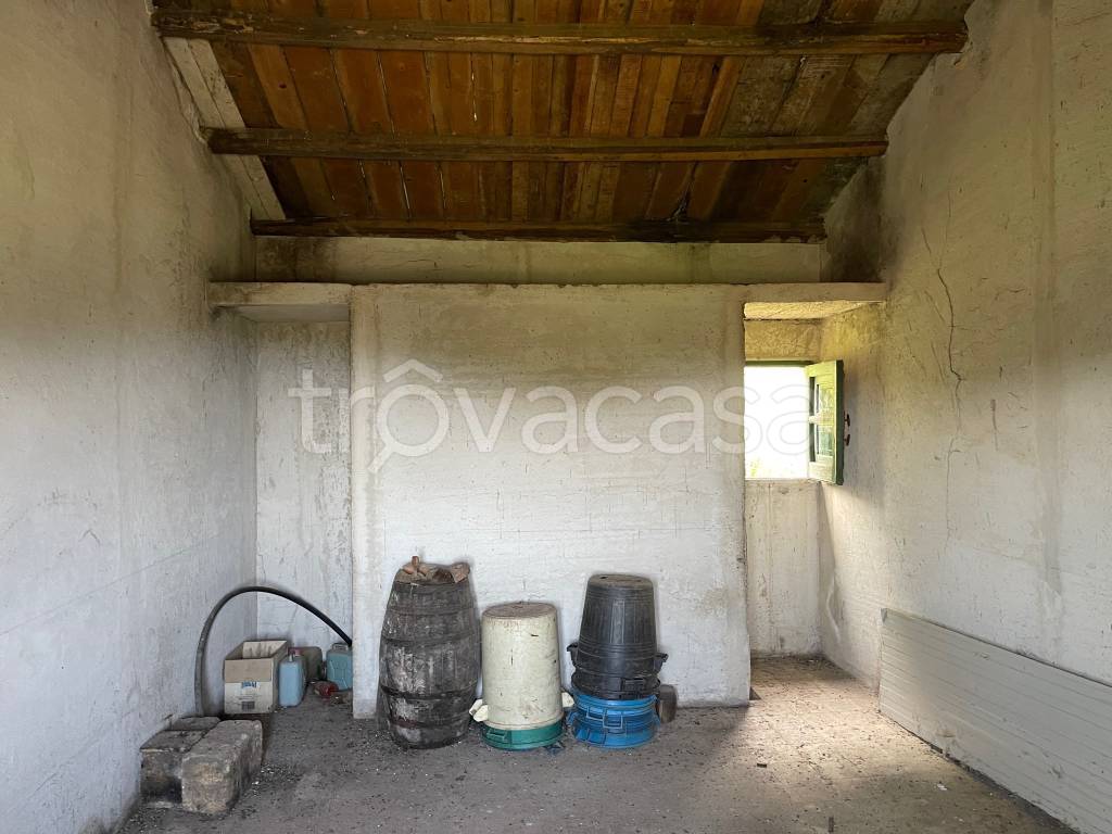 immagine annuncio 6 di 9