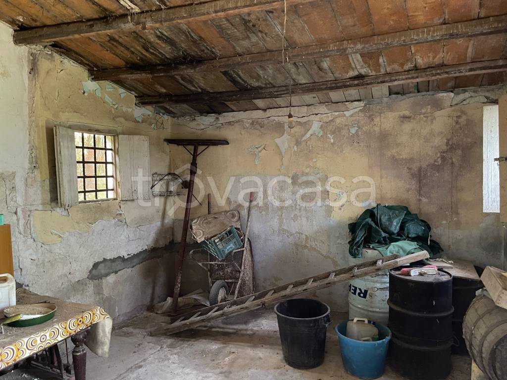 immagine annuncio 8 di 9