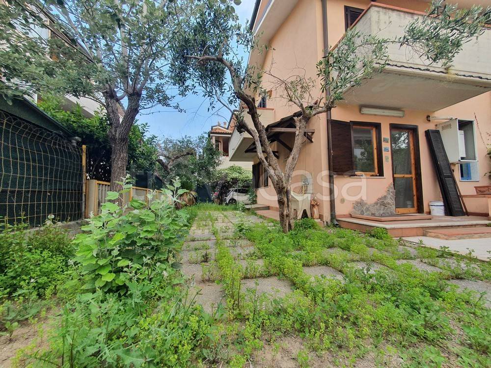 immagine annuncio 11 di 14