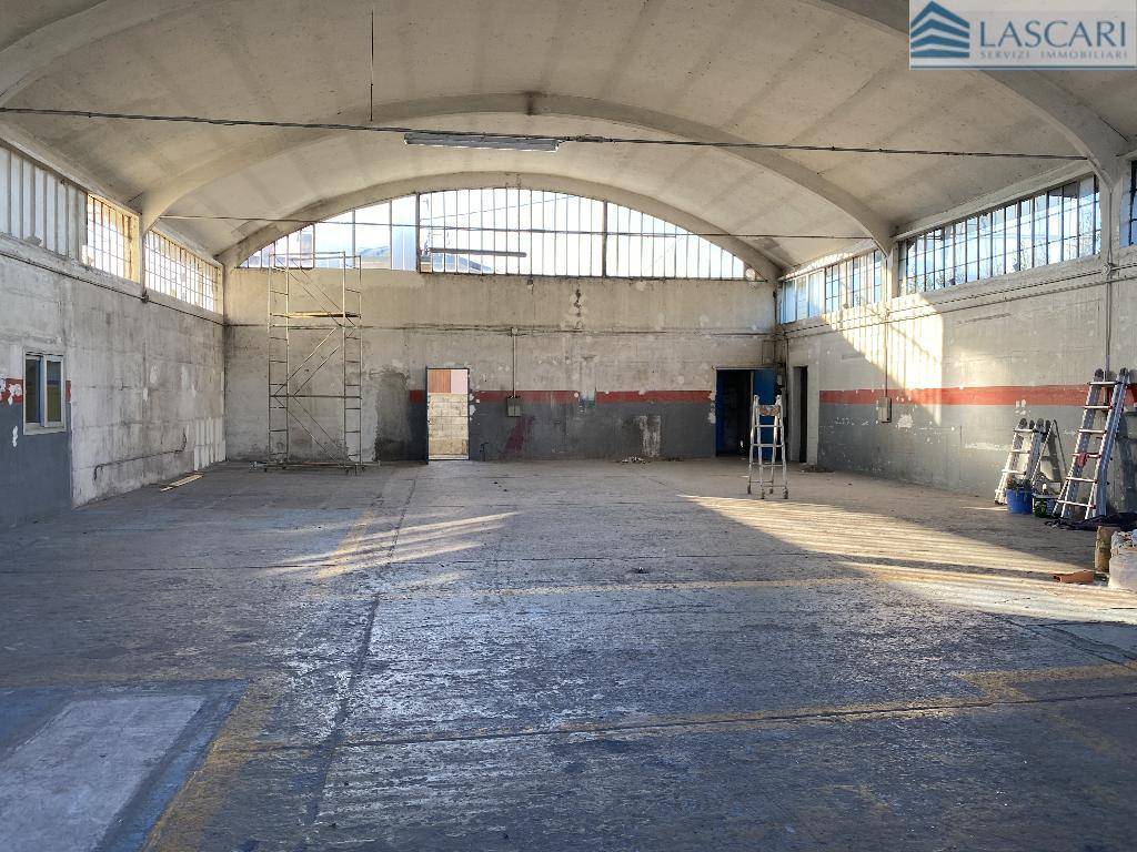 immagine annuncio 5 di 7