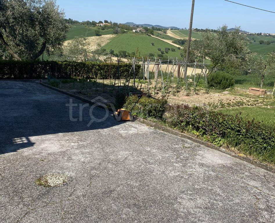 immagine annuncio 4 di 8