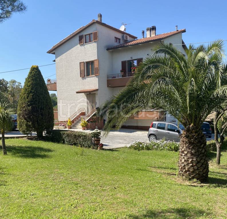 immagine annuncio 6 di 8