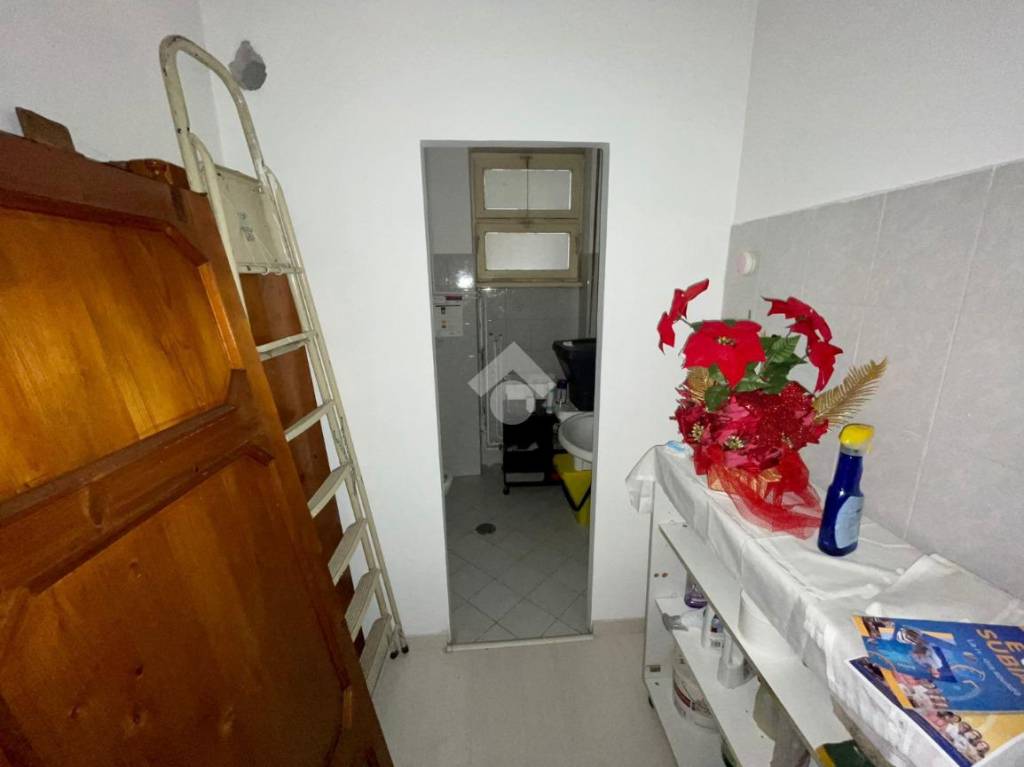immagine annuncio 7 di 14