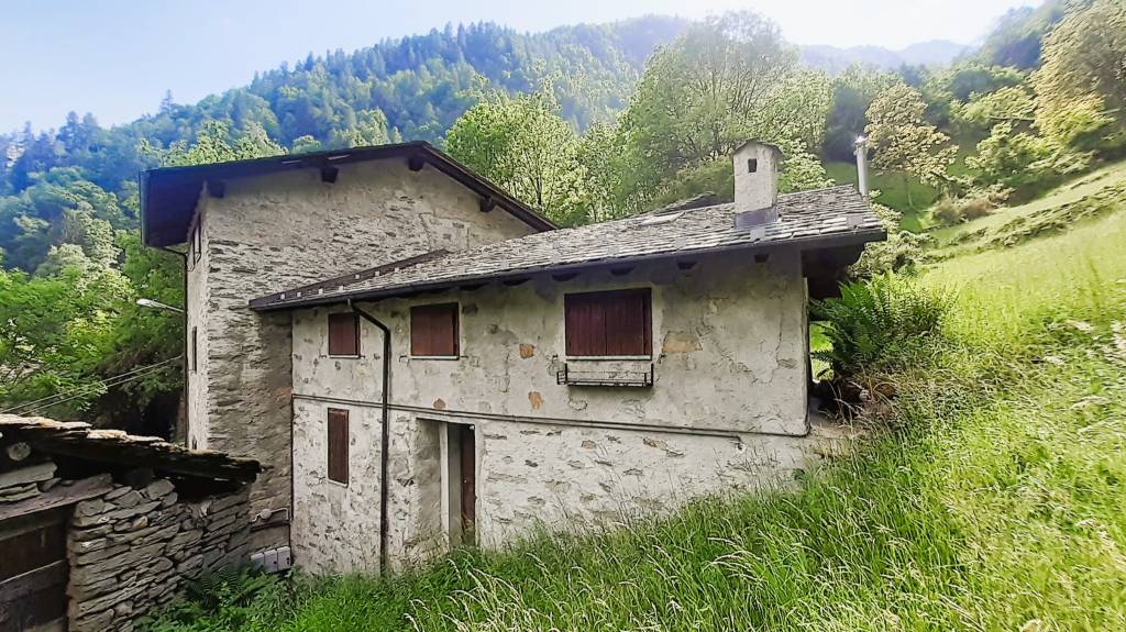 immagine annuncio 6 di 7