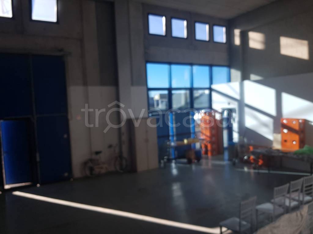 immagine annuncio 5 di 10