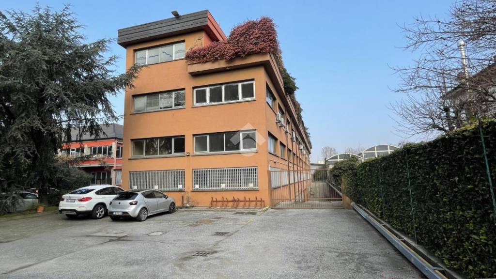 immagine annuncio 4 di 15
