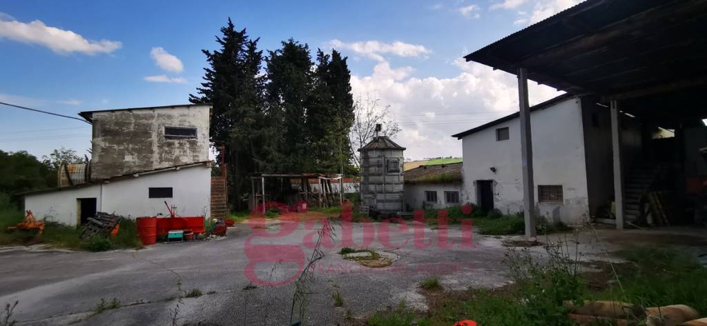 immagine annuncio 1 di 6