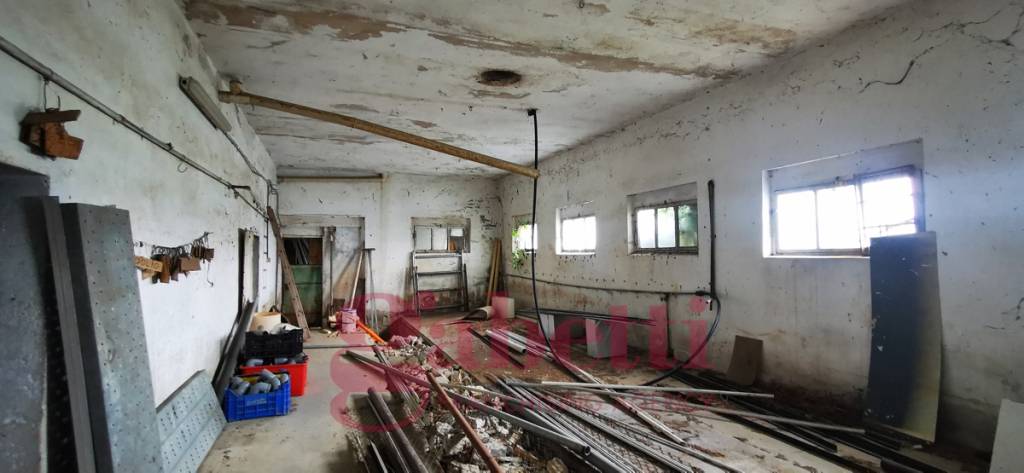 immagine annuncio 3 di 6