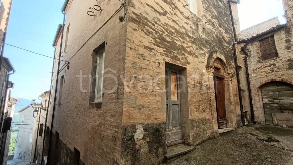 immagine annuncio 10 di 14
