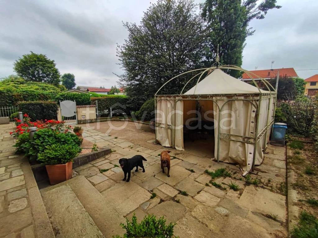 immagine annuncio 8 di 15