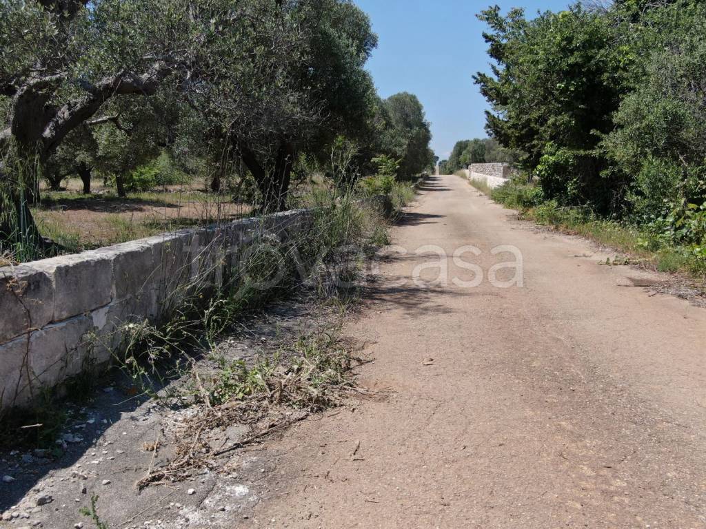 immagine annuncio 11 di 14