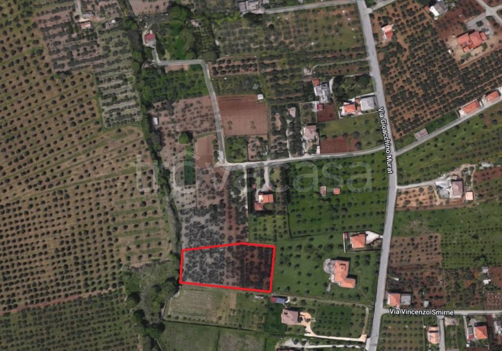 Terreno Agricolo in vendita a Lamezia Terme via Gioacchino Murat