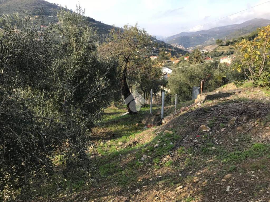 immagine annuncio 6 di 13