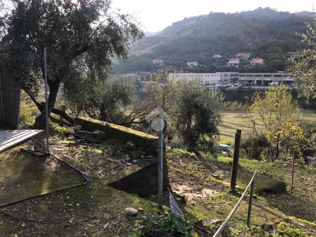 immagine annuncio 8 di 13
