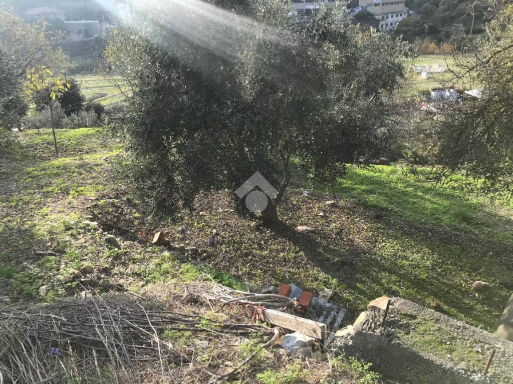 immagine annuncio 10 di 13