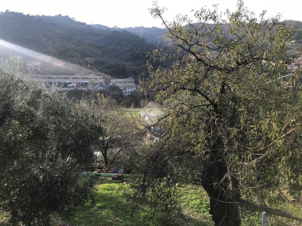 immagine annuncio 12 di 13