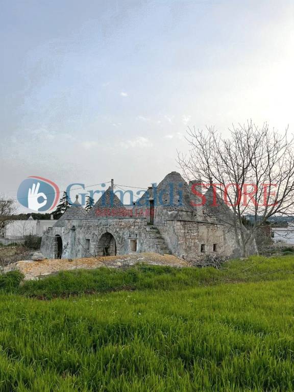 immagine annuncio 10 di 14