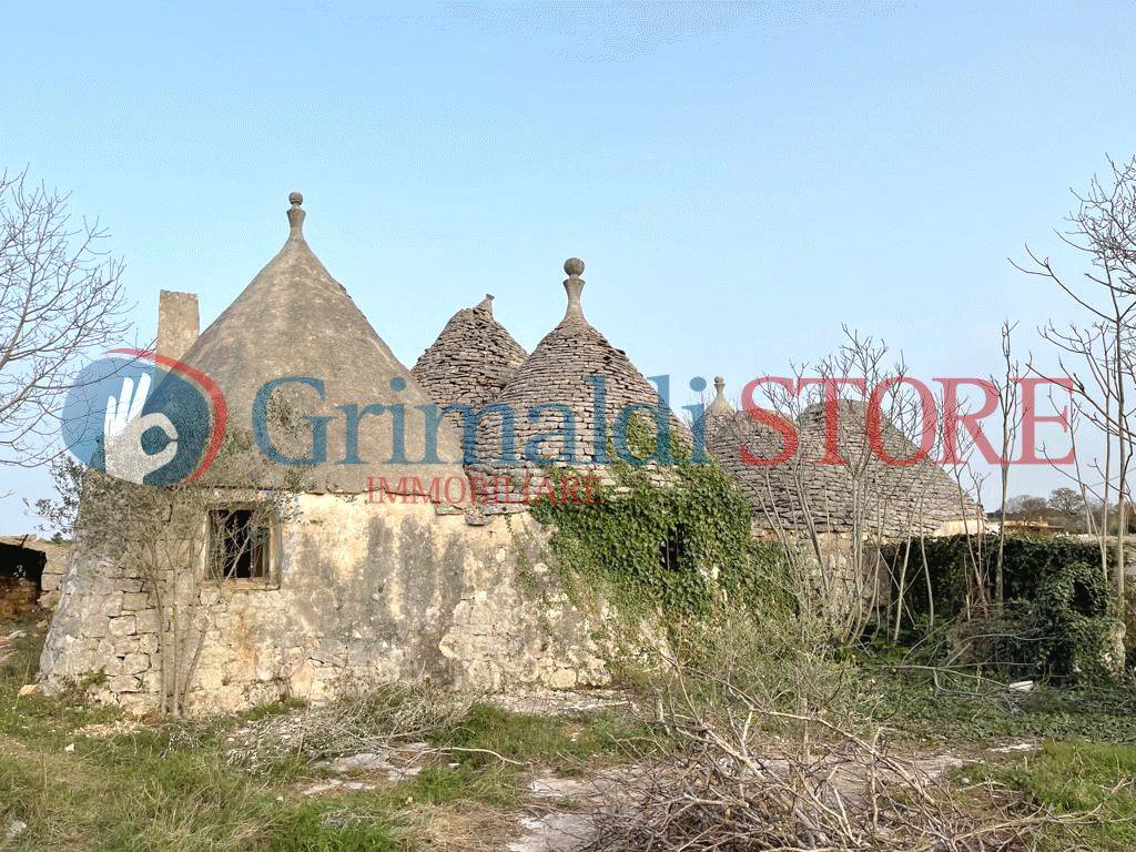 immagine annuncio 7 di 14