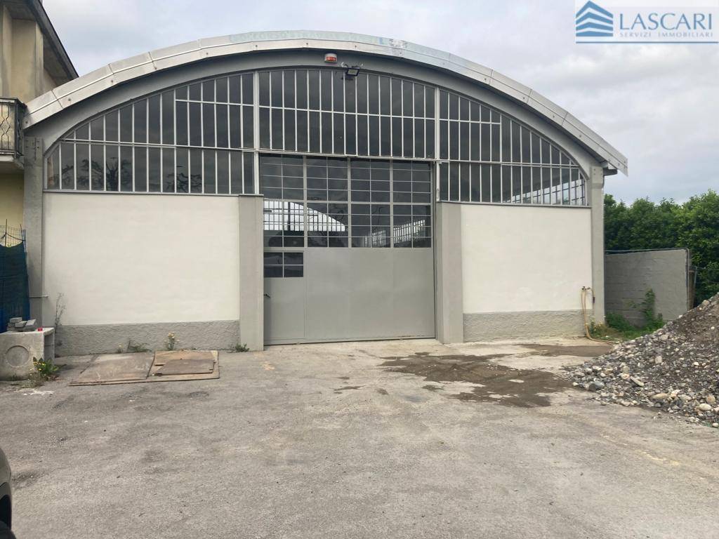 immagine annuncio 3 di 7