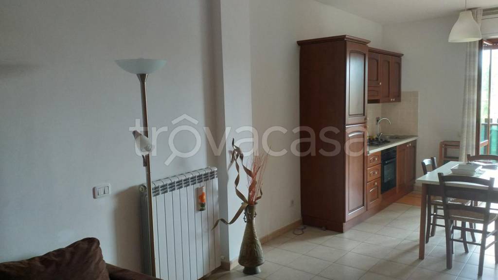 immagine annuncio 2 di 14