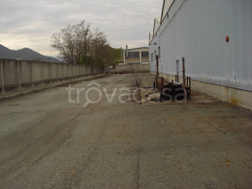 immagine annuncio 3 di 8