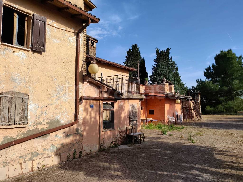immagine annuncio 2 di 13