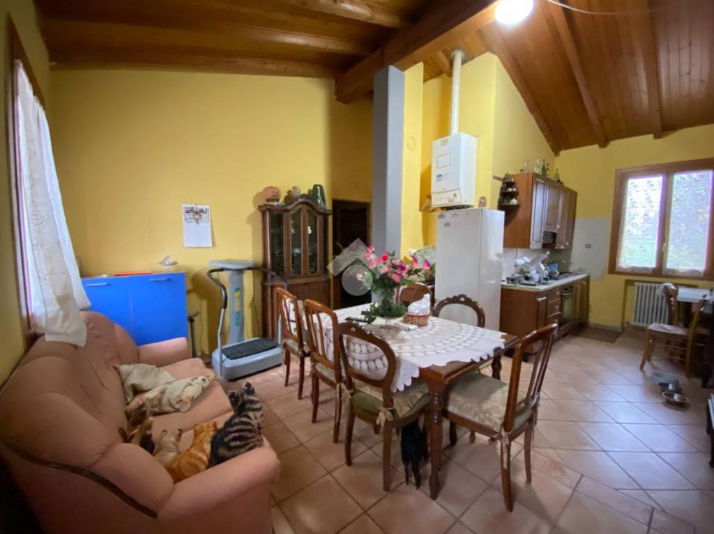immagine annuncio 2 di 12