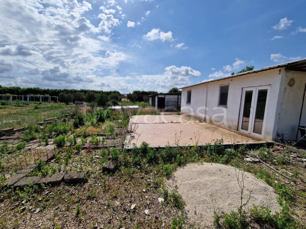 immagine annuncio 11 di 15