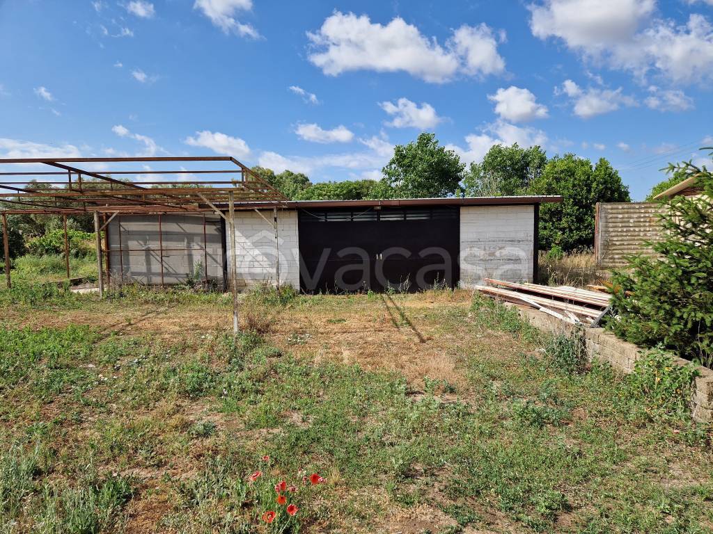 immagine annuncio 10 di 15