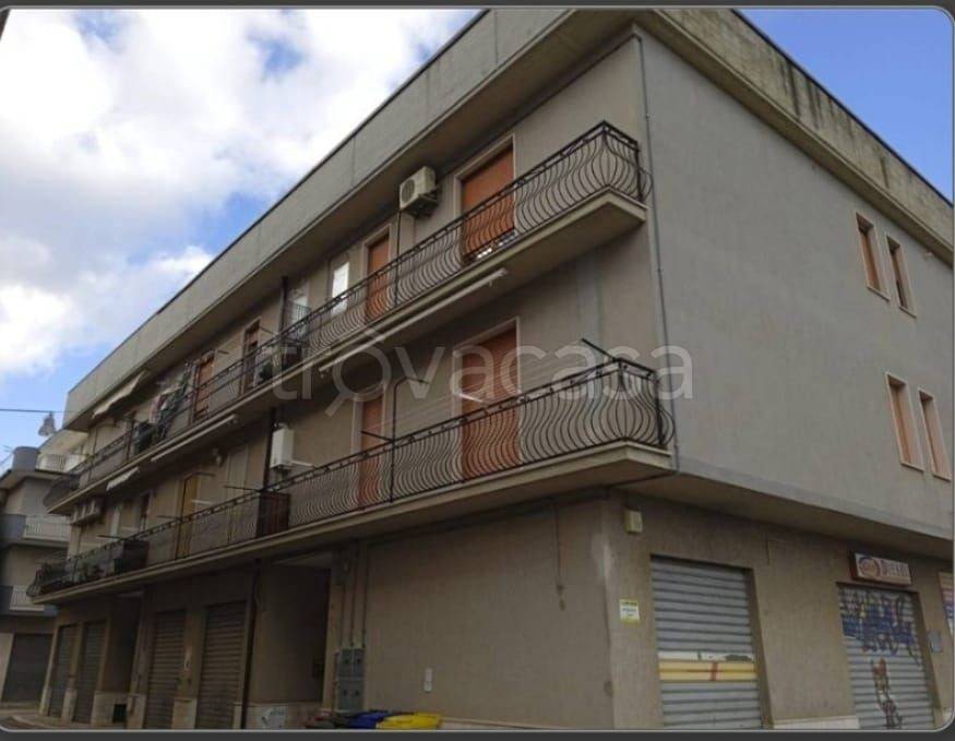 Appartamento in in vendita da privato a San Nicandro Garganico via Pietro di Cato, 41