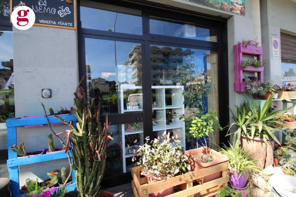 immagine annuncio 6 di 13