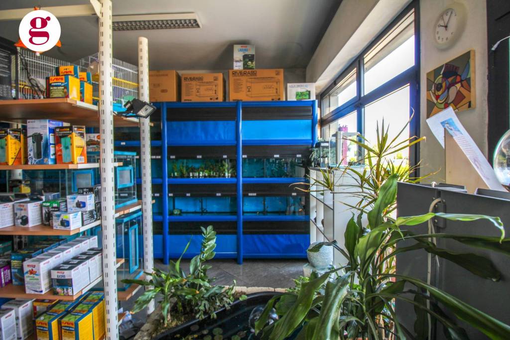 immagine annuncio 8 di 13