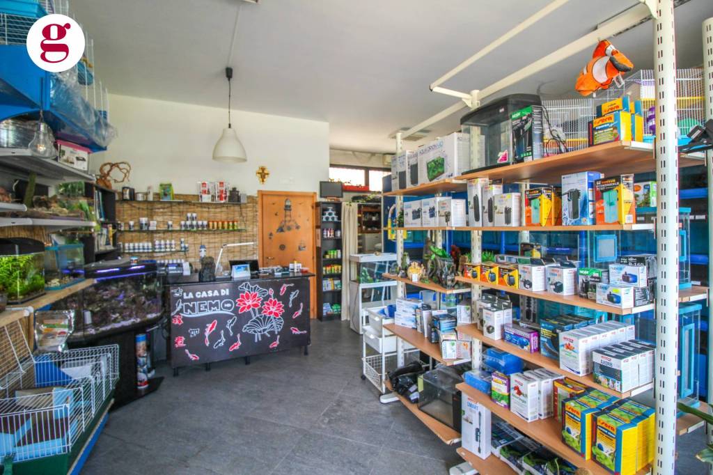 immagine annuncio 9 di 13