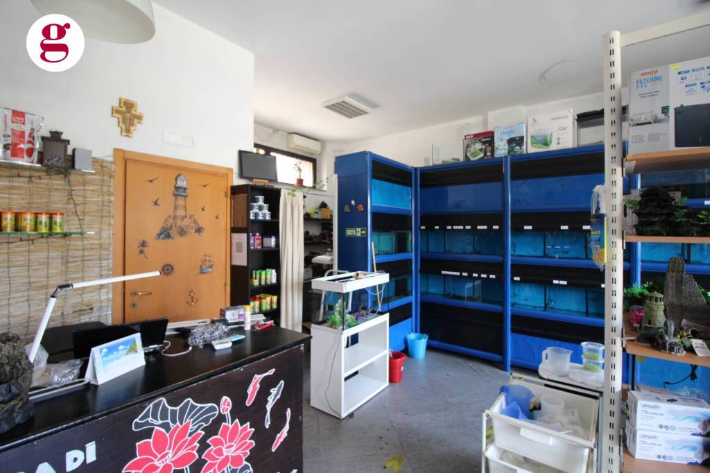 immagine annuncio 10 di 13