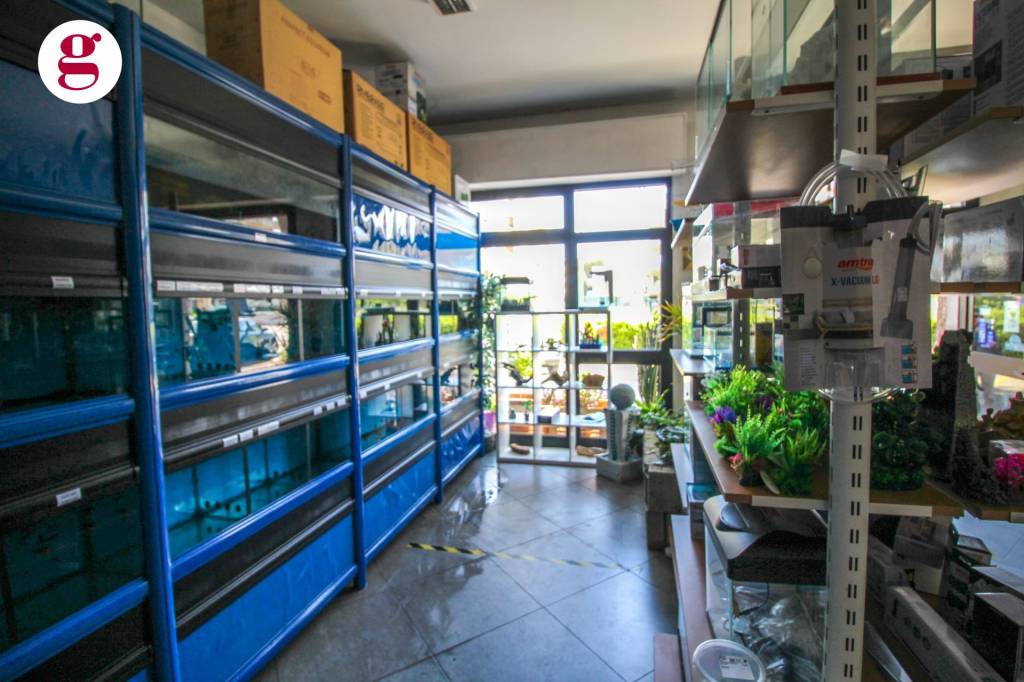 immagine annuncio 11 di 13