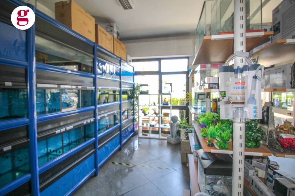 immagine annuncio 12 di 13