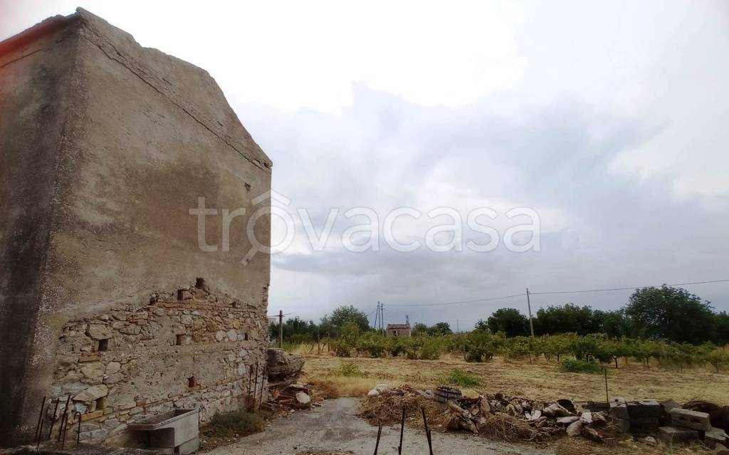 immagine annuncio 1 di 6
