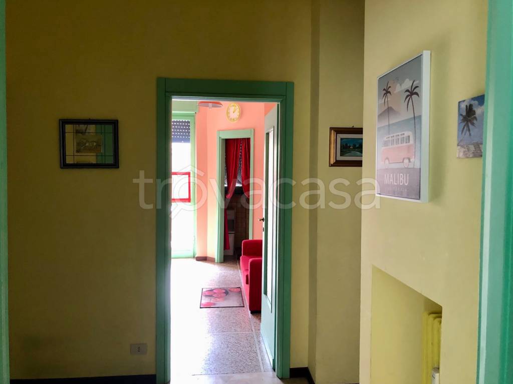 immagine annuncio 13 di 14