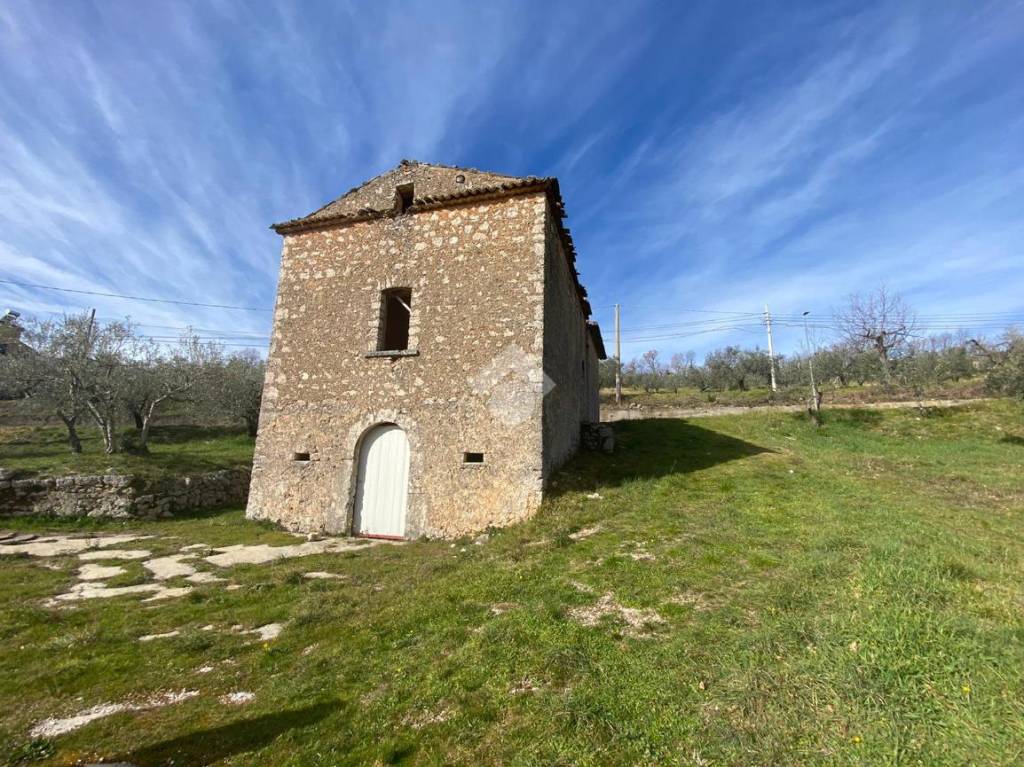 immagine annuncio 7 di 14